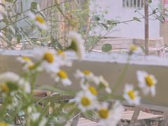 -秘密小花园(第三中学店)