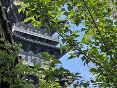 -乌镇景区