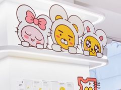 -KAKAO FRIENDS(弘大店)