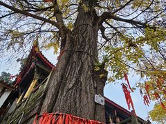 -金堂县云顶石城风景区