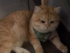 -天井·丑面包搭咖啡