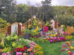 -上海共青森林公园