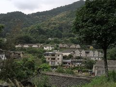 -雁南飞茶田景区