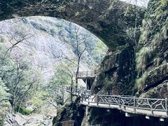 -大鄣山卧龙谷景区