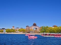 -莲花池公园