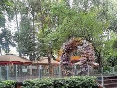 -二荆条·蜀鲜汇城市森林火锅