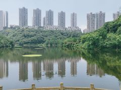 -重庆彩云湖湿地公园