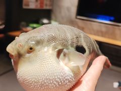 -永安鱼庄·镇江菜(东吴路店)