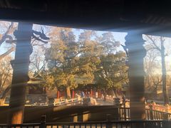 -晋祠公园