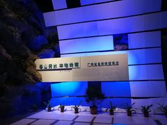 -广东省博物馆
