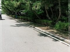 -日照海滨国家森林公园
