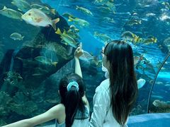 -合肥海洋世界
