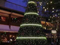 -深圳湾万象城(南山店)