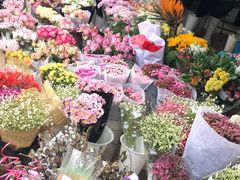 -三圣花乡旅游区