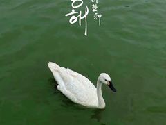 -南大港湿地风景区