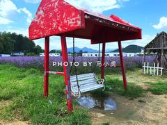 景点-北京东方普罗旺斯薰衣草庄园