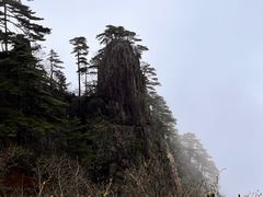 -黄山风景区