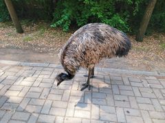 -沈阳鸟岛