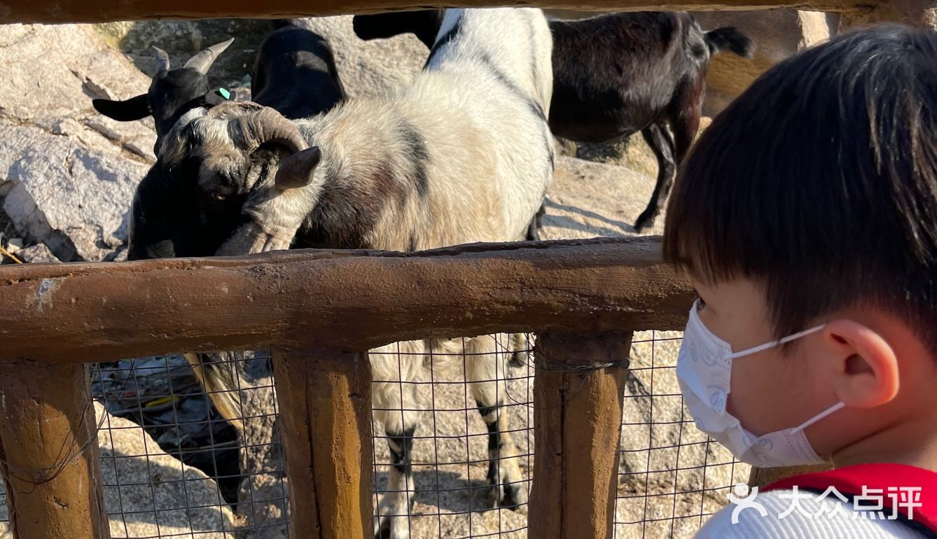 ¥10喂迷你网红小猪🐷玩激流水滑道💧潮州长隆亲子乐园