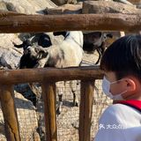 ¥10喂迷你网红小猪🐷玩激流水滑道💧潮州长隆亲子乐园