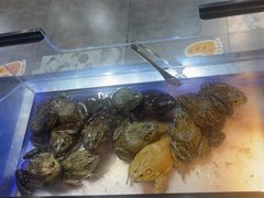 -圣罗巴海鲜烤肉自助(佳兆业店)