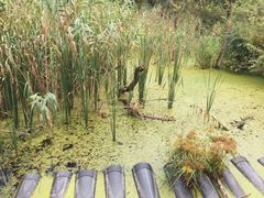 -西湖风景区-江洋畈生态公园