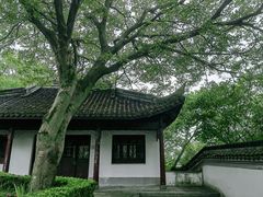 -上海佘山国家森林公园天马山园