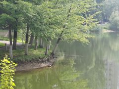 -长白岛森林公园