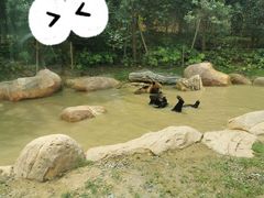 -郑州银基国际旅游度假区