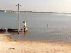 -呼兰河口湿地公园