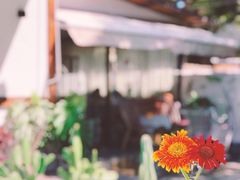 -几静cafe(基湖店)