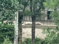 -石家庄市动物园