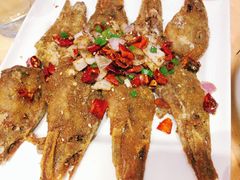 -怪怪龙虾·澳洲蓝龙王·深夜食堂(惊驾路店)