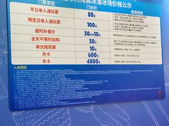 -正佳冰河湾真冰滑冰场