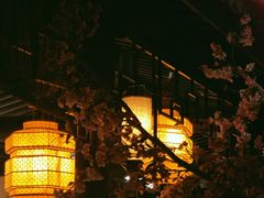 -绿茶餐厅(朝阳大悦城店)