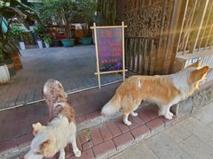 -豆舞咖啡(民乐路店)