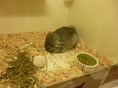 -龙猫仔乐园(惠福东路店)