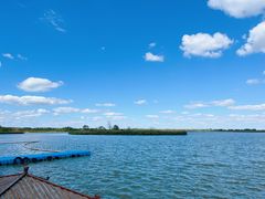 -盐城丹顶鹤湿地生态旅游区