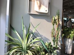 -dotcom coffee古点咖啡(致真大厦店)