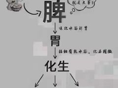 -裕和堂中医推拿艾灸(太古汇臻品店)