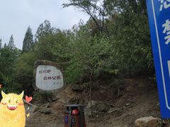 -白水寺森林公园