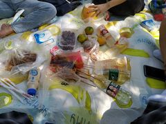 -昆山城市生态森林公园