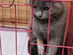 -联合动物医院(光谷诊疗中心)