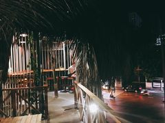 -Rainforest