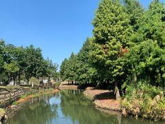 -厦门园林博览苑
