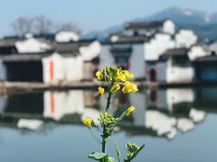 -呈坎景区