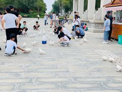 -天津妈祖文化园