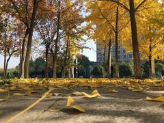 -长安大学(北校区)