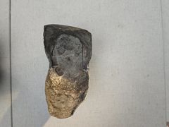 -吉林市博物馆