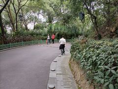 -金鸡山公园
